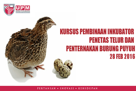 KURSUS PEMBINAAN INKUBATOR PENETAS TELUR DAN PENTERNAKAN BURUNG PUYUH