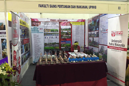 Gambar 5
